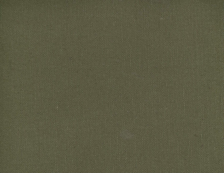 Frenzy Earth 867 by Norbar Fabric FRENZY 60% COTTON 40% LINEN INDIA 54 - Fabric Carolina -