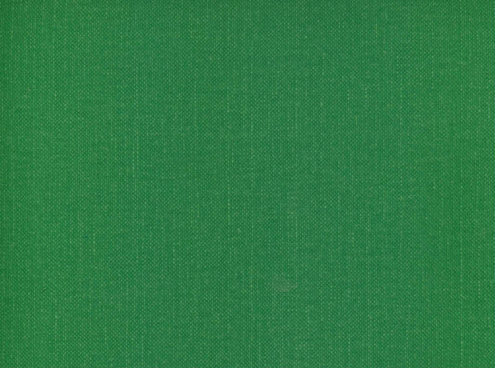 Frenzy Grass 321 by Norbar Fabric FRENZY 60% COTTON 40% LINEN INDIA 54 - Fabric Carolina -
