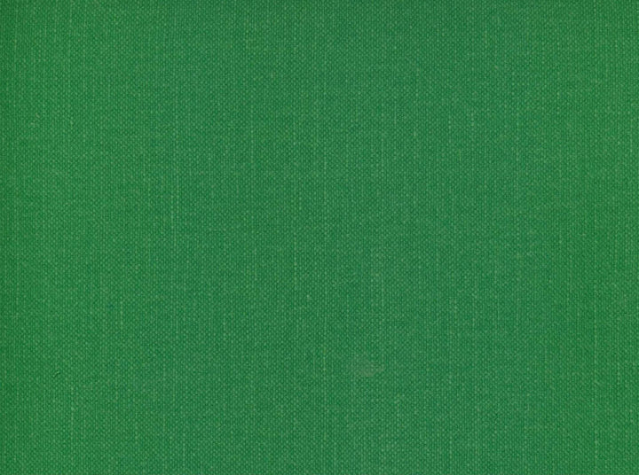 Frenzy Grass 321 by Norbar Fabric FRENZY 60% COTTON 40% LINEN INDIA 54 - Fabric Carolina -