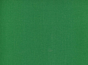 Frenzy Grass 321 by Norbar Fabric