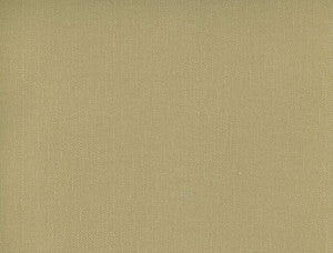 Frenzy Harvest 127 by Norbar Fabric