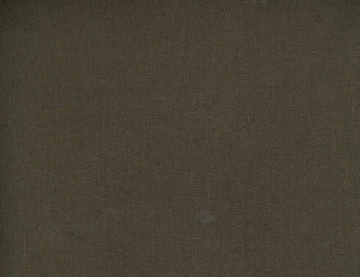 Frenzy Java 875 by Norbar Fabric FRENZY 60% COTTON 40% LINEN INDIA 54 - Fabric Carolina -