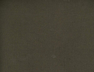 Frenzy Java 875 by Norbar Fabric