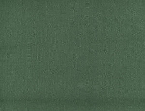 Frenzy Juniper 359 by Norbar Fabric
