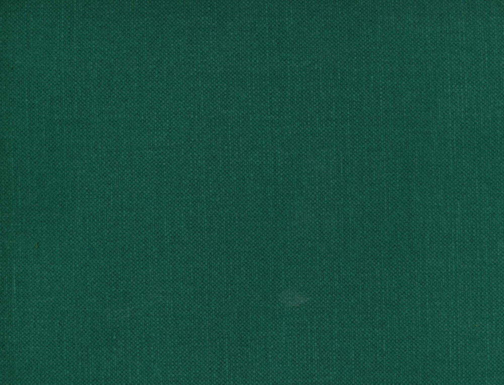 Frenzy Kale 398 by Norbar Fabric FRENZY 60% COTTON 40% LINEN INDIA 54 - Fabric Carolina -