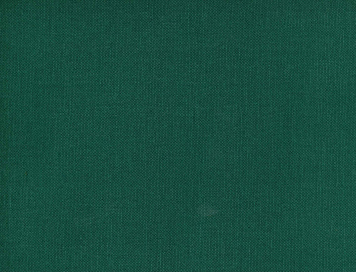 Frenzy Kale 398 by Norbar Fabric FRENZY 60% COTTON 40% LINEN INDIA 54 - Fabric Carolina -