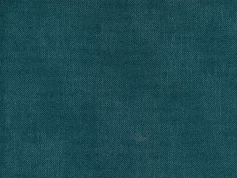Frenzy Lagoon 464 by Norbar Fabric FRENZY 60% COTTON 40% LINEN INDIA 54 - Fabric Carolina -