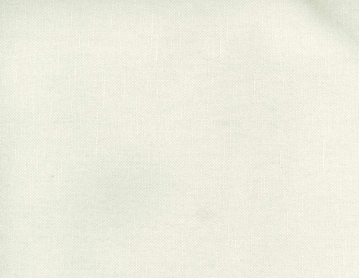 Frenzy Latte 045 by Norbar Fabric FRENZY 60% COTTON 40% LINEN INDIA 54 - Fabric Carolina -