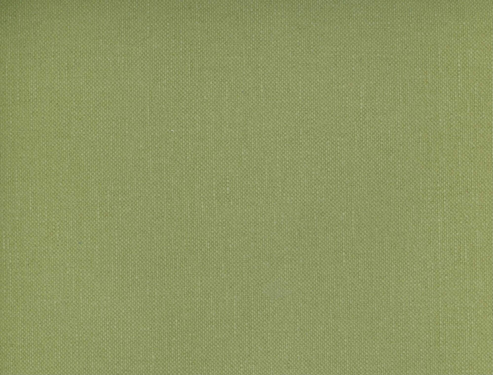 Frenzy Lichen 349 by Norbar Fabric FRENZY 60% COTTON 40% LINEN INDIA 54 - Fabric Carolina -