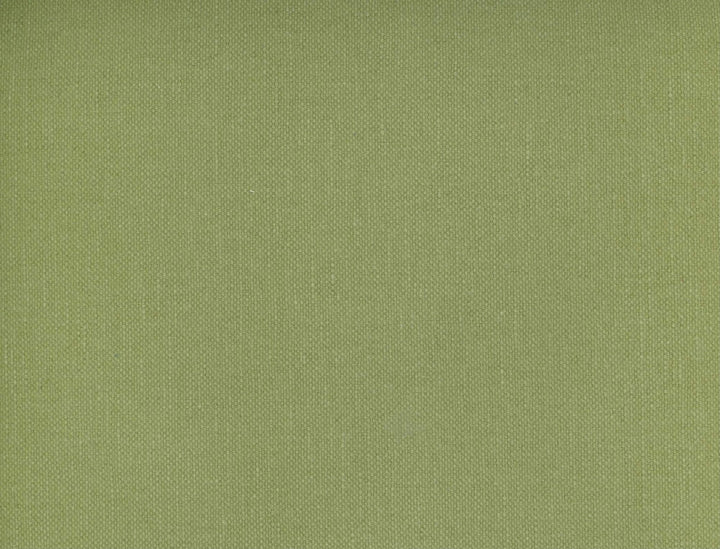 Frenzy Lichen 349 by Norbar Fabric FRENZY 60% COTTON 40% LINEN INDIA 54 - Fabric Carolina -