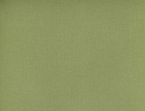 Frenzy Lichen 349 by Norbar Fabric