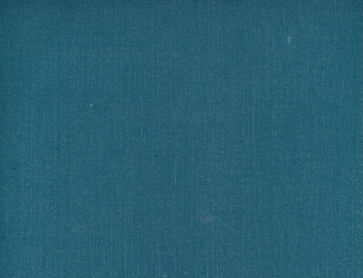 Frenzy Marina 499 by Norbar Fabric FRENZY 60% COTTON 40% LINEN INDIA 54 - Fabric Carolina -