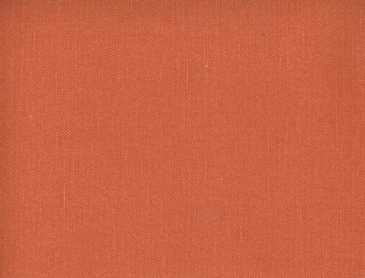 Frenzy Nectar 641 by Norbar Fabric FRENZY 60% COTTON 40% LINEN INDIA 54 - Fabric Carolina -