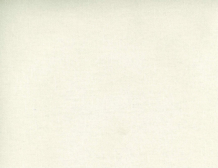 Frenzy Oyster 003 by Norbar Fabric FRENZY 60% COTTON 40% LINEN INDIA 54 - Fabric Carolina -