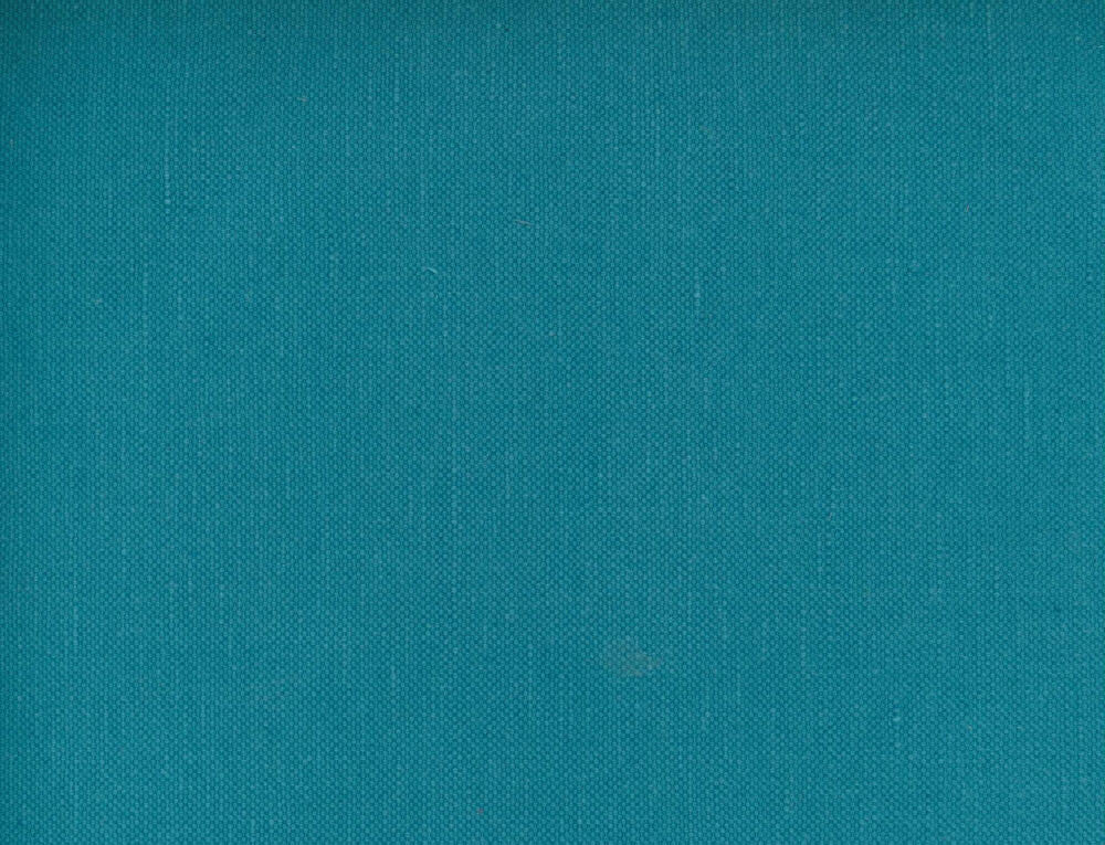 Frenzy Pacific 497 by Norbar Fabric FRENZY 60% COTTON 40% LINEN INDIA 54 - Fabric Carolina -