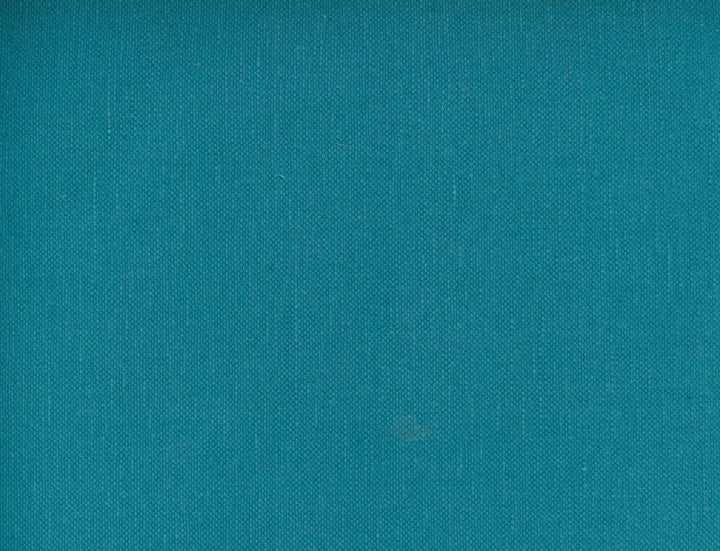 Frenzy Pacific 497 by Norbar Fabric FRENZY 60% COTTON 40% LINEN INDIA 54 - Fabric Carolina -