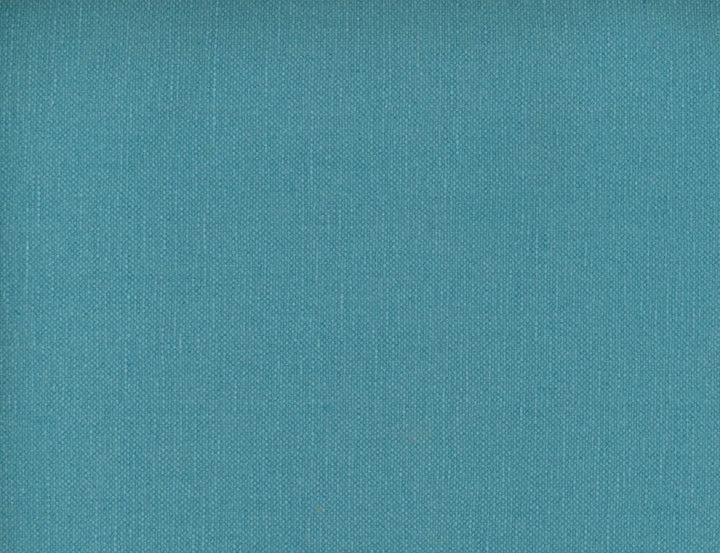 Frenzy Pool 449 by Norbar Fabric FRENZY 60% COTTON 40% LINEN INDIA 54 - Fabric Carolina -