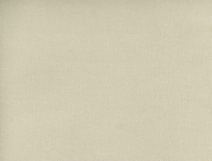 Frenzy Putty 205 by Norbar Fabric FRENZY 60% COTTON 40% LINEN INDIA 54 - Fabric Carolina -
