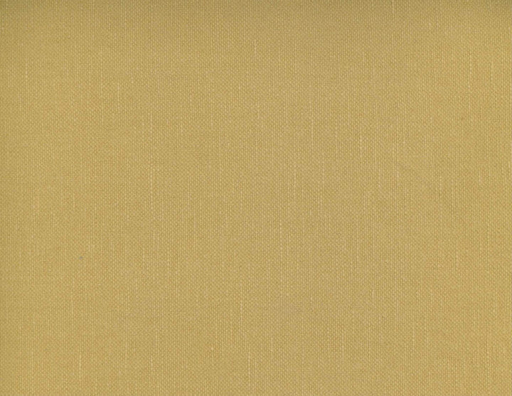 Frenzy Raffia 123 by Norbar Fabric FRENZY 60% COTTON 40% LINEN INDIA 54 - Fabric Carolina -