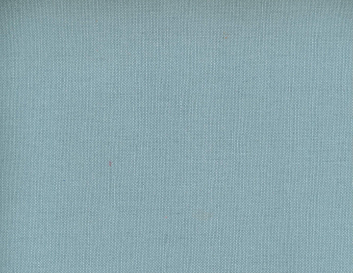Frenzy Rain 477 by Norbar Fabric FRENZY 60% COTTON 40% LINEN INDIA 54 - Fabric Carolina -