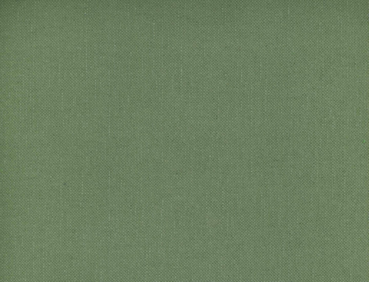 Frenzy Sage 316 by Norbar Fabric FRENZY 60% COTTON 40% LINEN INDIA 54 - Fabric Carolina -