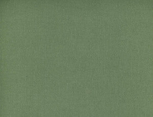 Frenzy Sage 316 by Norbar Fabric