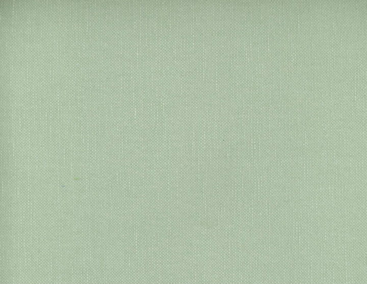 Frenzy Silver Pine 395 by Norbar Fabric FRENZY 60% COTTON 40% LINEN INDIA 54 - Fabric Carolina -