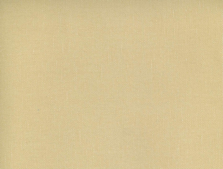 Frenzy Tahini 114 by Norbar Fabric FRENZY 60% COTTON 40% LINEN INDIA 54 - Fabric Carolina -