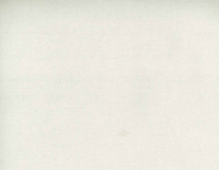 Frenzy Talc 022 by Norbar Fabric FRENZY 60% COTTON 40% LINEN INDIA 54 - Fabric Carolina -