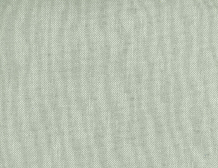 Frenzy Zinc 922 by Norbar Fabric FRENZY 60% COTTON 40% LINEN INDIA 54 - Fabric Carolina -