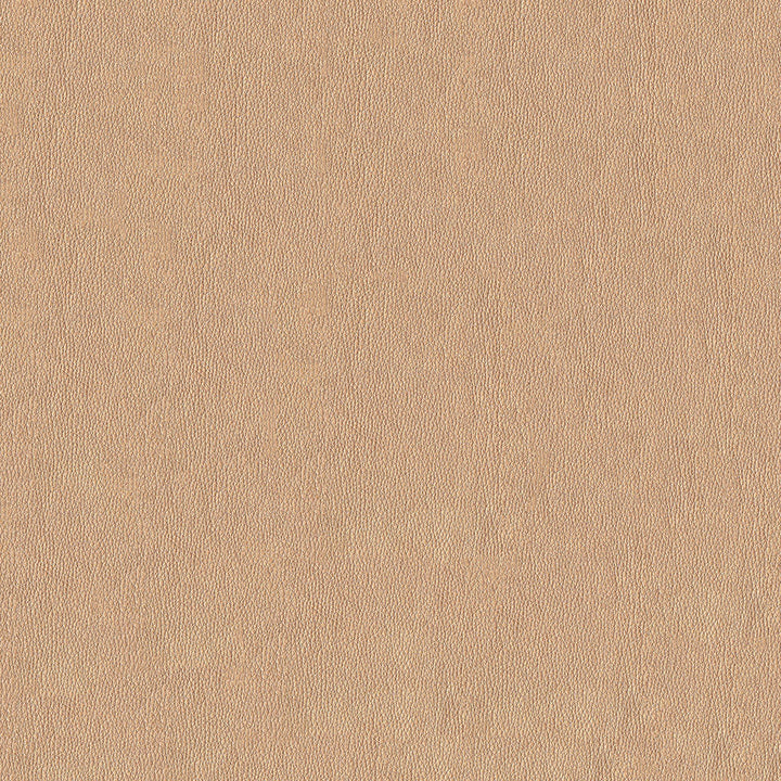 Lovely 102 Champagne by ABBEYSHEA Fabric 100% Polyurethane (PU) China 100,000 Double Rubs (Wyzenbeek) </p><p>Repeat: Horizontal: and Vertical: 54" (137 cm) - Fabric Carolina -