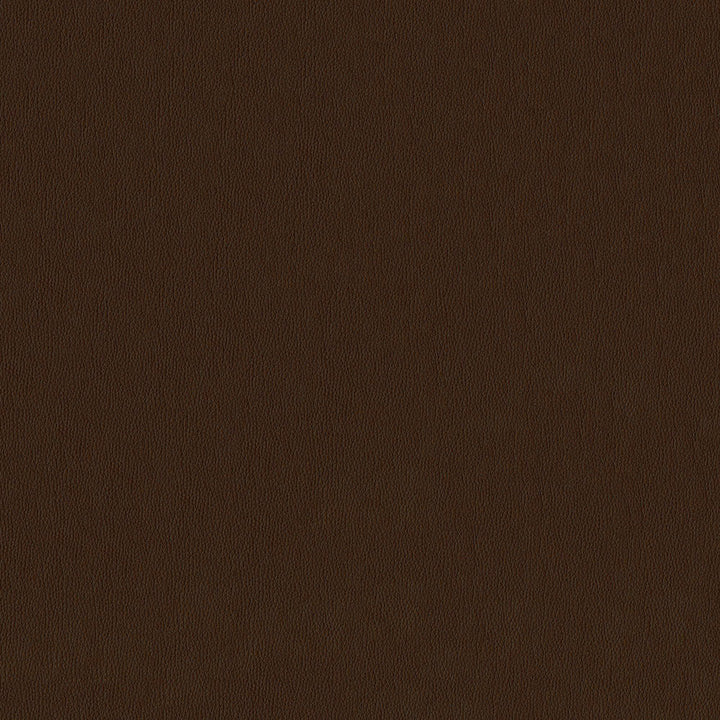Lovely 400 Bronze by ABBEYSHEA Fabric 100% Polyurethane (PU) China 100,000 Double Rubs (Wyzenbeek) </p><p>Repeat: Horizontal: and Vertical: 54" (137 cm) - Fabric Carolina -