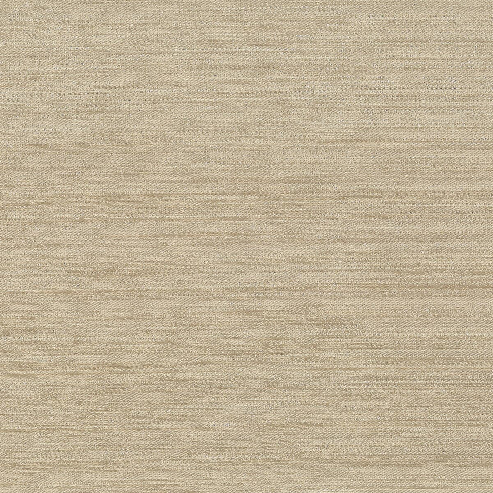 Function 10 Putty by Stout Fabric Beautiful Accents 100% Polyester INDIA Horizontal: 0 and Vertical: 0 54 in - Fabric Carolina -