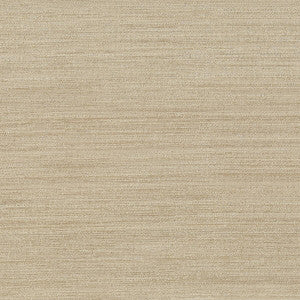 Function 10 Putty by Stout Fabric