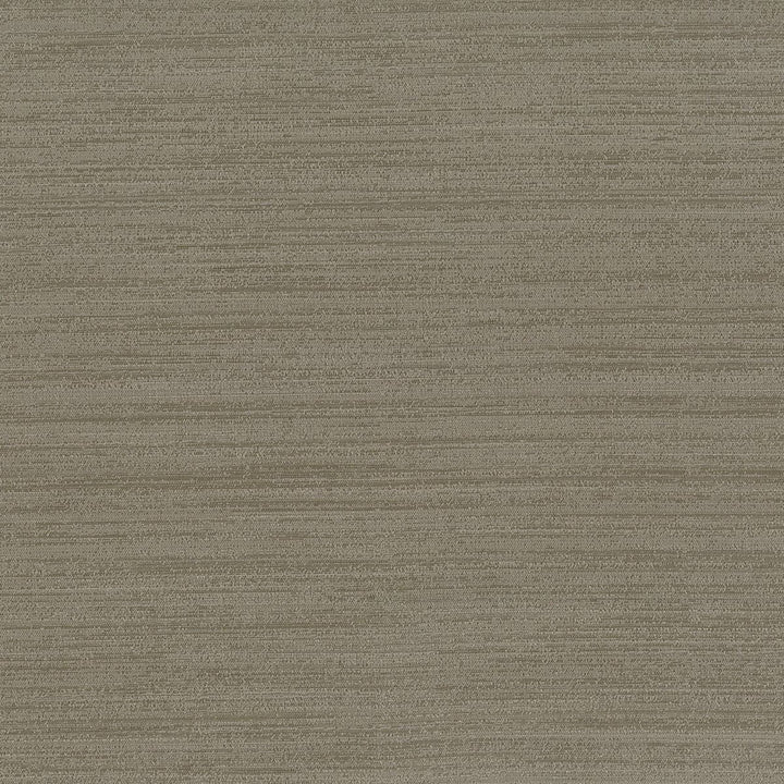 Function 3 Smoke by Stout Fabric Beautiful Accents 100% Polyester INDIA Horizontal: 0 and Vertical: 0 54 in - Fabric Carolina -