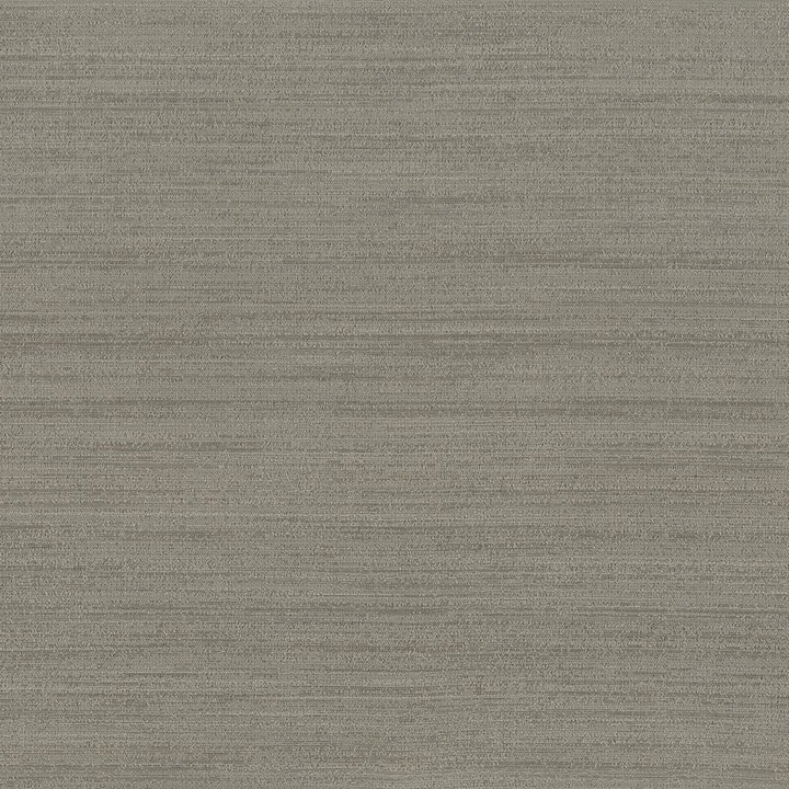Function 5 Cement by Stout Fabric BEAUTIFUL ACCENTS 100%POL INDIA Horizontal: 0 and Vertical: 0 54 in - Fabric Carolina -