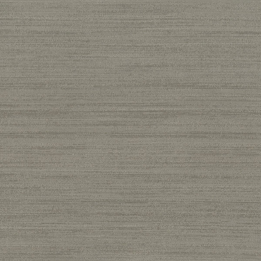 Function 5 Cement by Stout Fabric Beautiful Accents 100% Polyester INDIA Horizontal: 0 and Vertical: 0 54 in - Fabric Carolina -