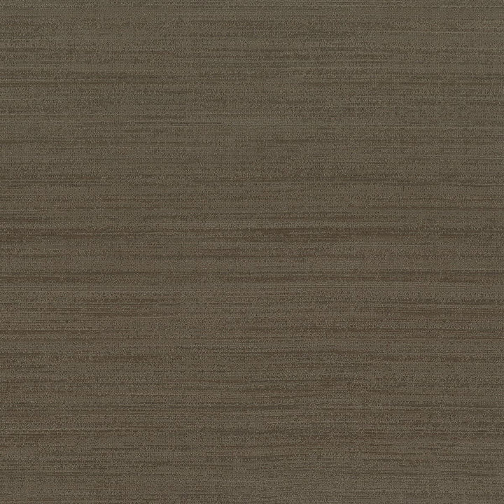 Function 6 Charcoal by Stout Fabric Beautiful Accents 100% Polyester INDIA Horizontal: 0 and Vertical: 0 54 in - Fabric Carolina -