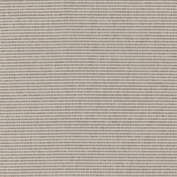 Fury 33J7391 by JF Fabric Winning Weaves VII- Wovens - Faux Suede Book 100% Polyester China 25000 Horizontal: and Vertical: 1.125 58 - Fabric Carolina -