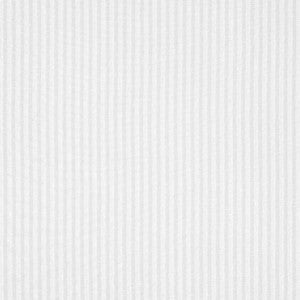 Darley Stripe Snow White FWW7141 by Thibaut Fabric