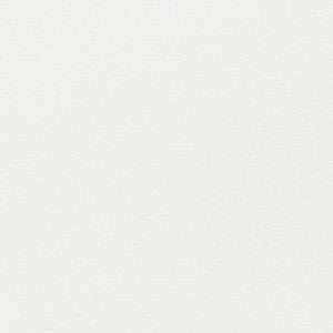 Skye Linen Ivory FWW7603 by Thibaut Fabric