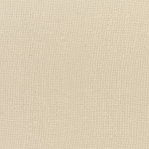 Dawn Linen Fawn FWW7671 by Thibaut Fabric