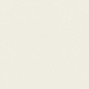 Asher Salt FWW81724 by Thibaut Fabric