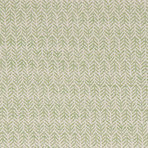 Festoon Lime by Bella-Dura Fabric