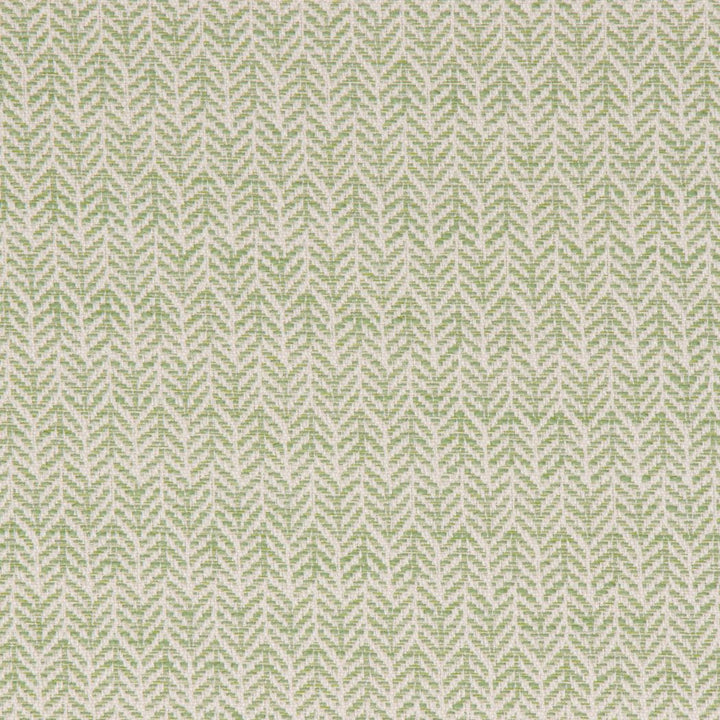Festoon Lime by Bella-Dura Fabric  100% HIGH UV POLYESTER USA 80,000 H: .75" V: 2" 56.25"  - Fabric Carolina -