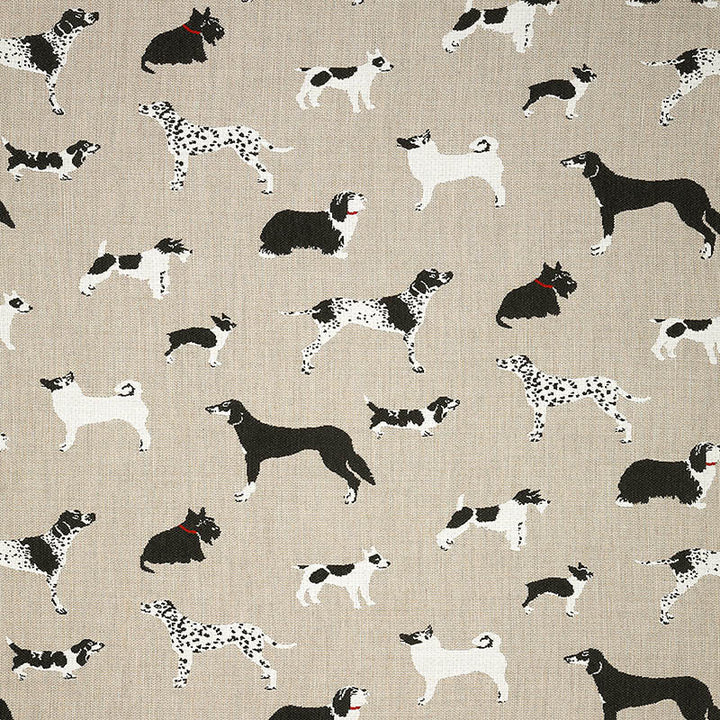145414-0001 Fetch Bone by Sunbrella Fabric Cushion Furniture Drapery Fabrics > Sunbrella Fusion Collection 100% acrylic USA or Imported Horizontalorizontal 18.67" Verticalertical 26.48" 54" - Fabric Carolina -