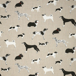 145414-0001 Fetch Bone by Sunbrella Fabric