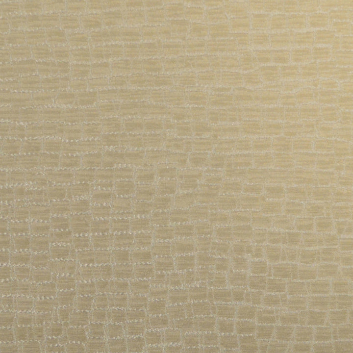 Fianna B Sand by Europatex Fabric Fianna 100% Polyester 14.14" H, 13.21" V 55.00 inches - Fabric Carolina -