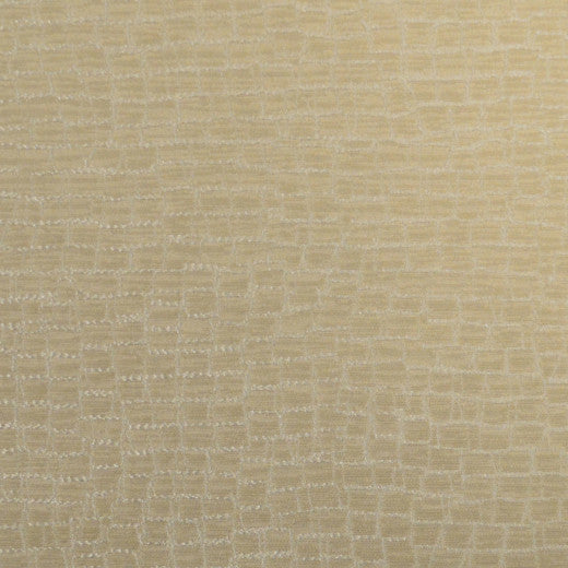Fianna - B - Sand by Europatex Fabric Fianna 100% Polyester China See Sample Horizontal: N/A and Vertical: N/A 55.00 inches  - Fabric Carolina -