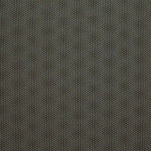 Fianna C Smoke by Europatex Fabric
